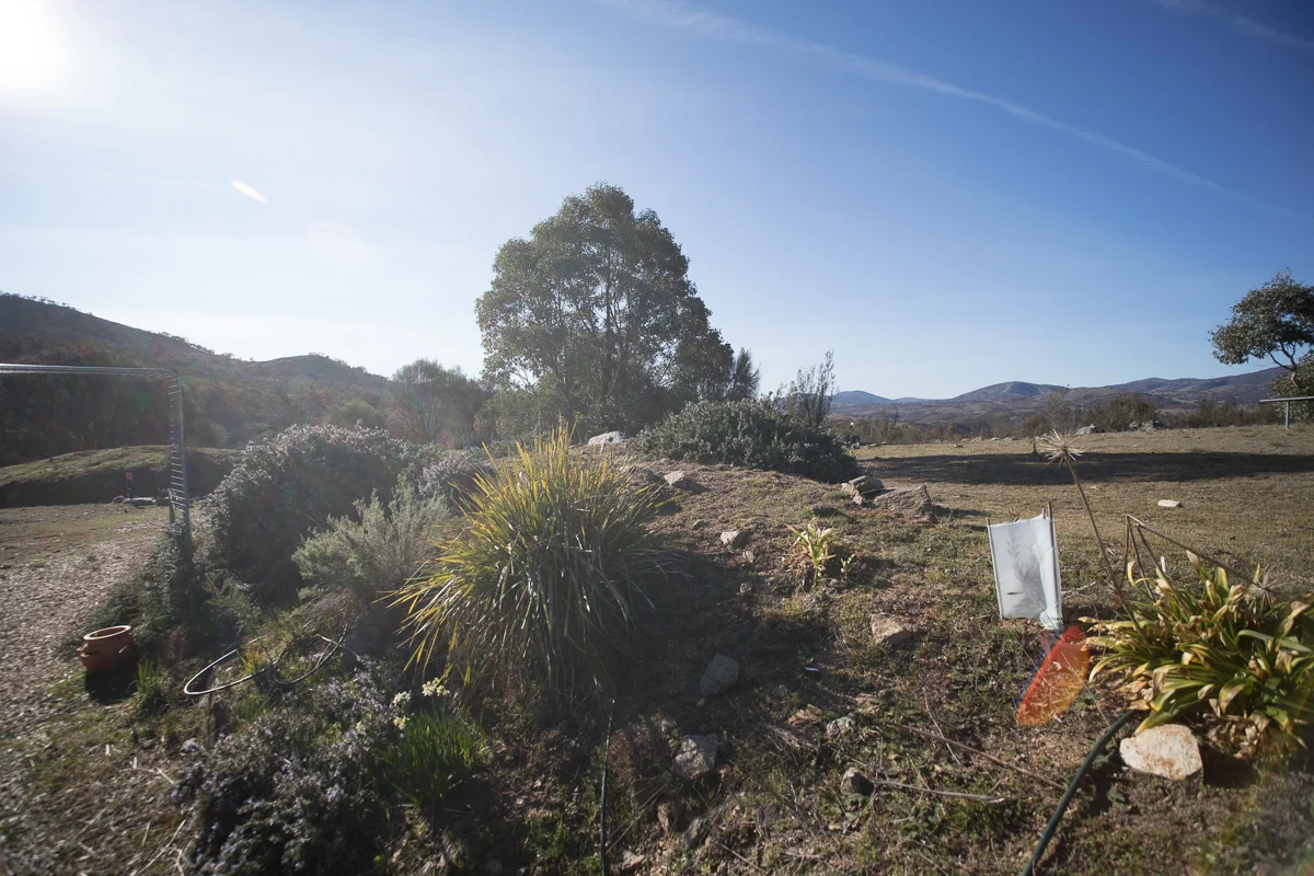 The wide-angle torture test, as performed by the Laowa 15mm macro.