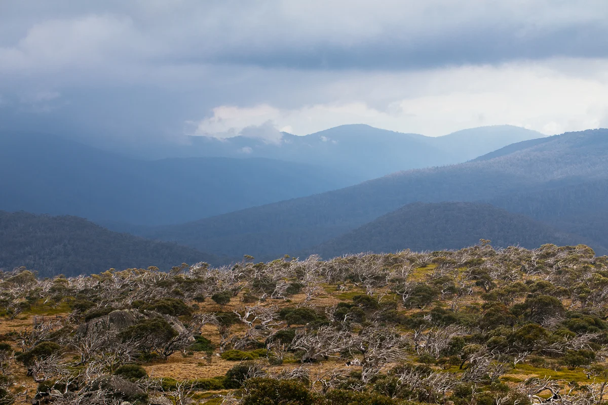 The view from Mt Bimberi looking east or north-east.