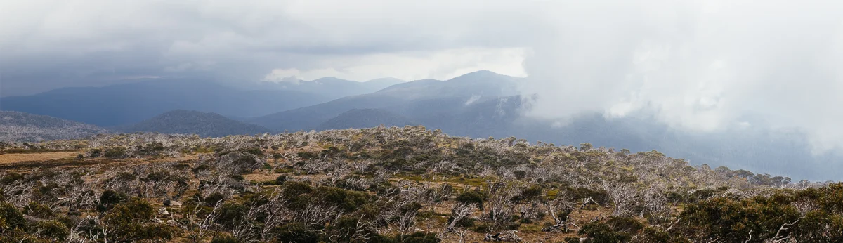 The view from Mt Bimberi.