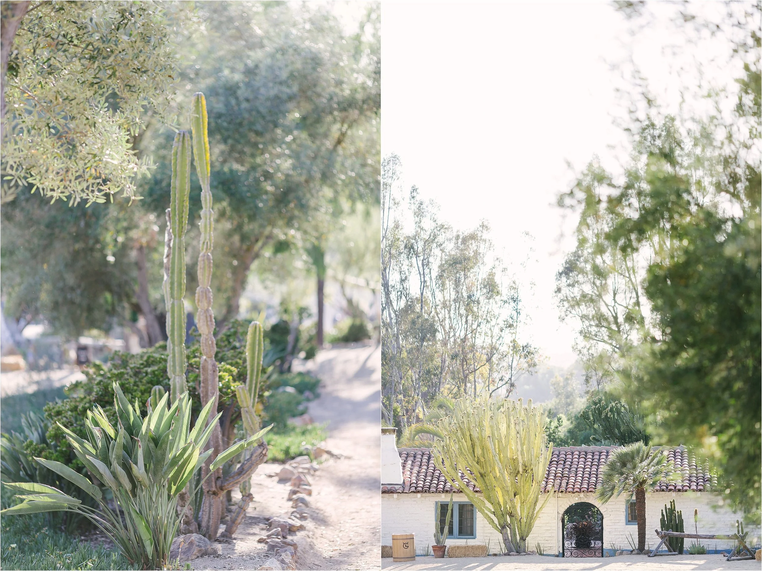 Leo Carrillo Ranch Wedding_0040.jpg