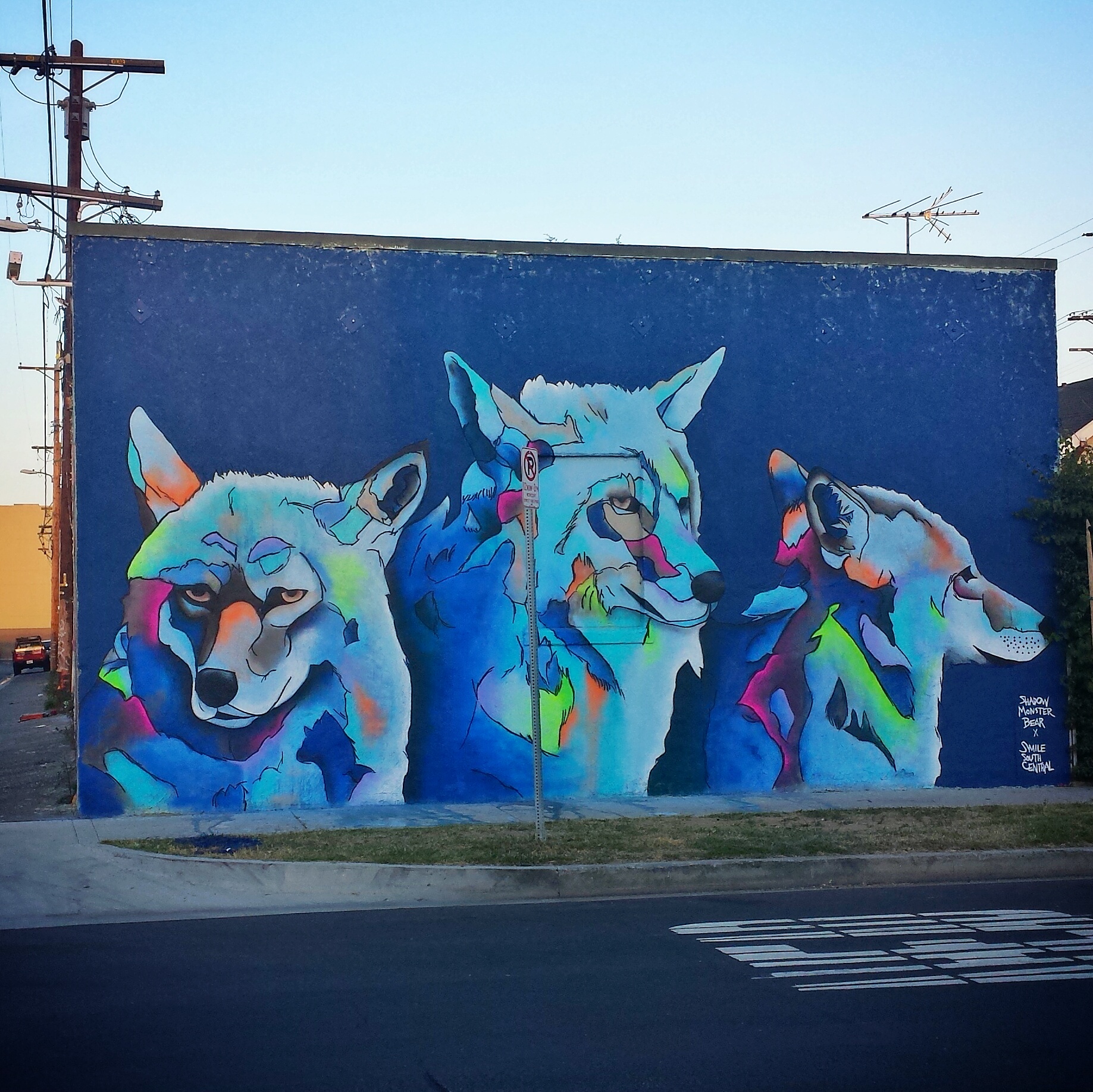 South Central Wolfpack