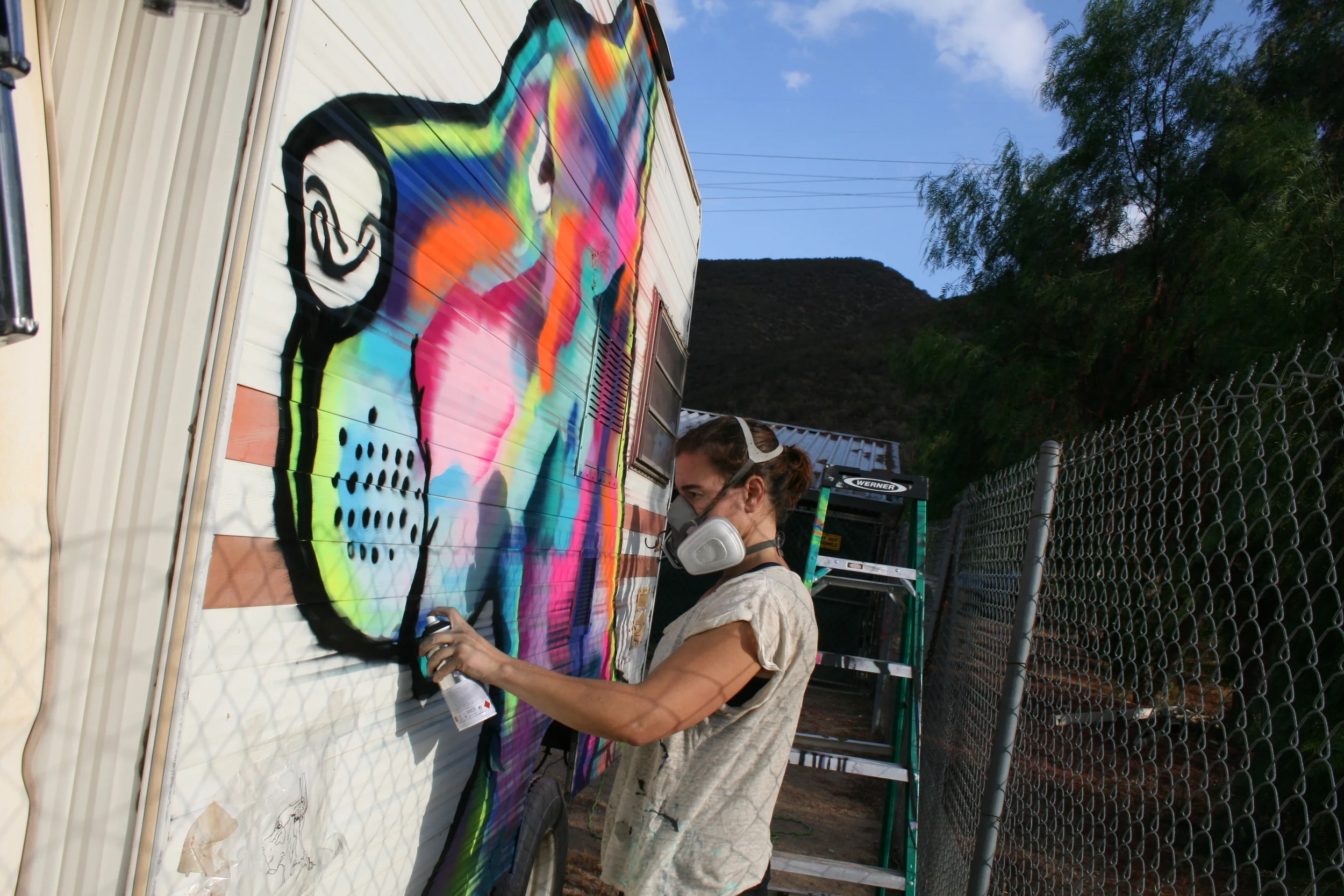 Painting at OJ K9 Coach Training Arena