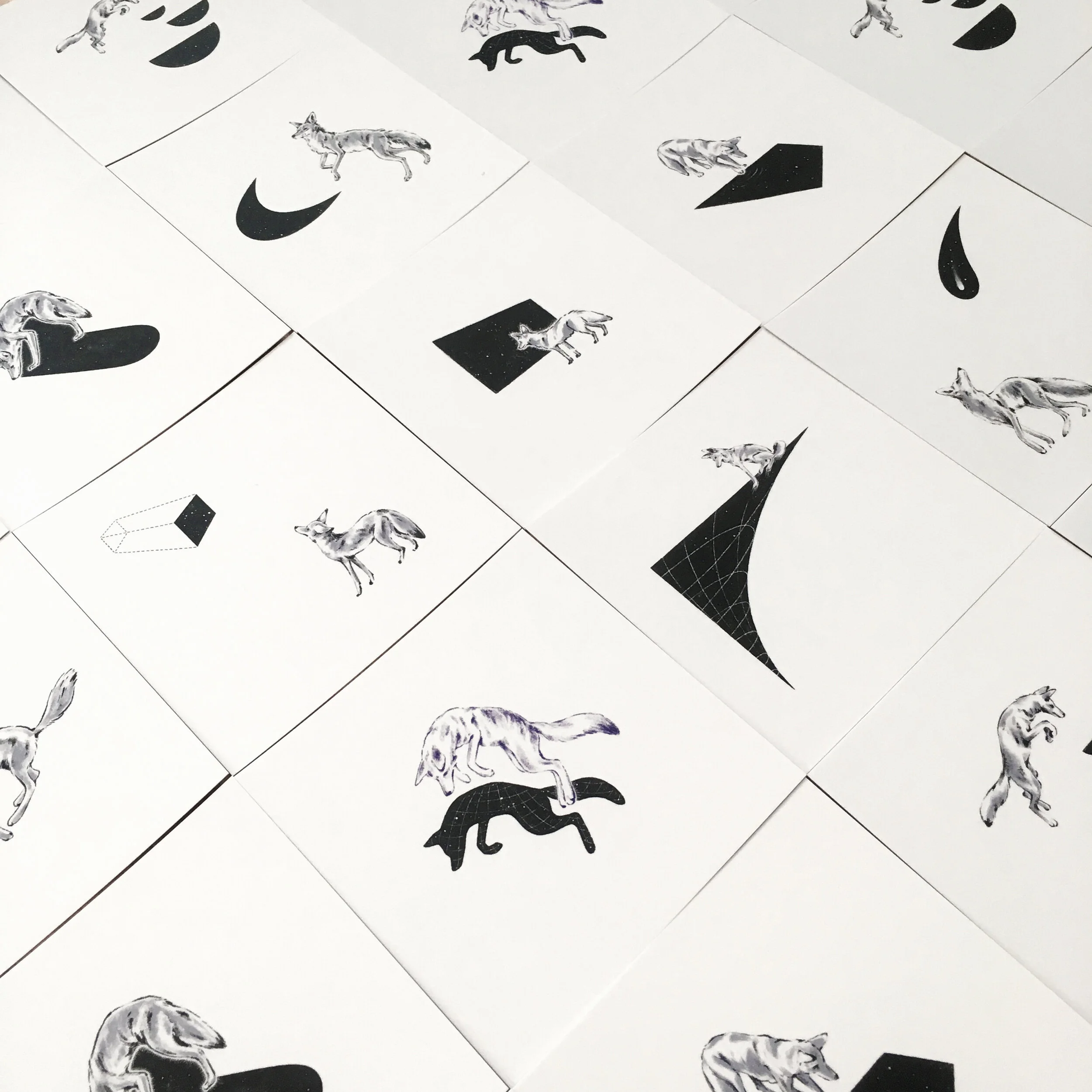 coyote-prints.jpg
