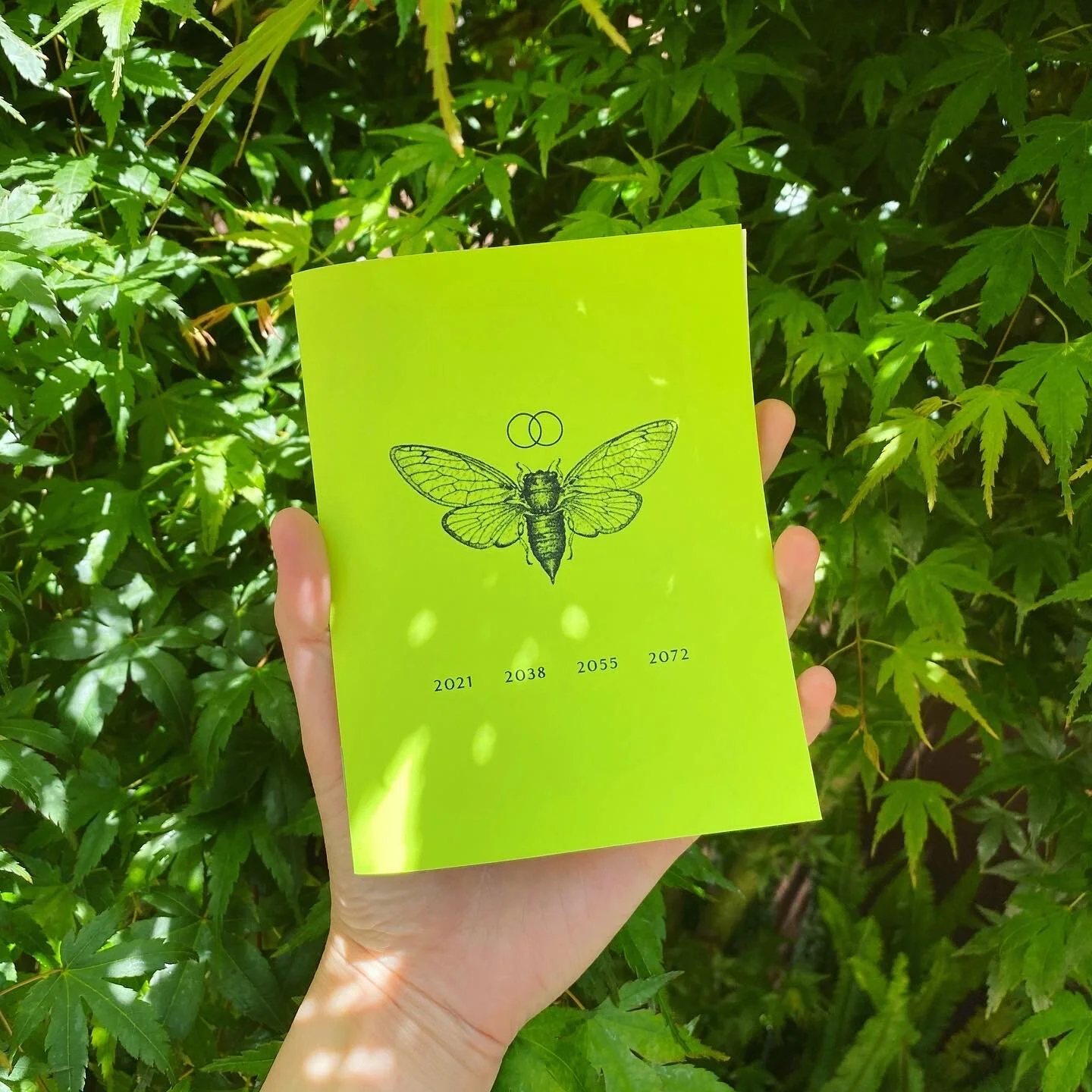 cicadazine-cover.jpg