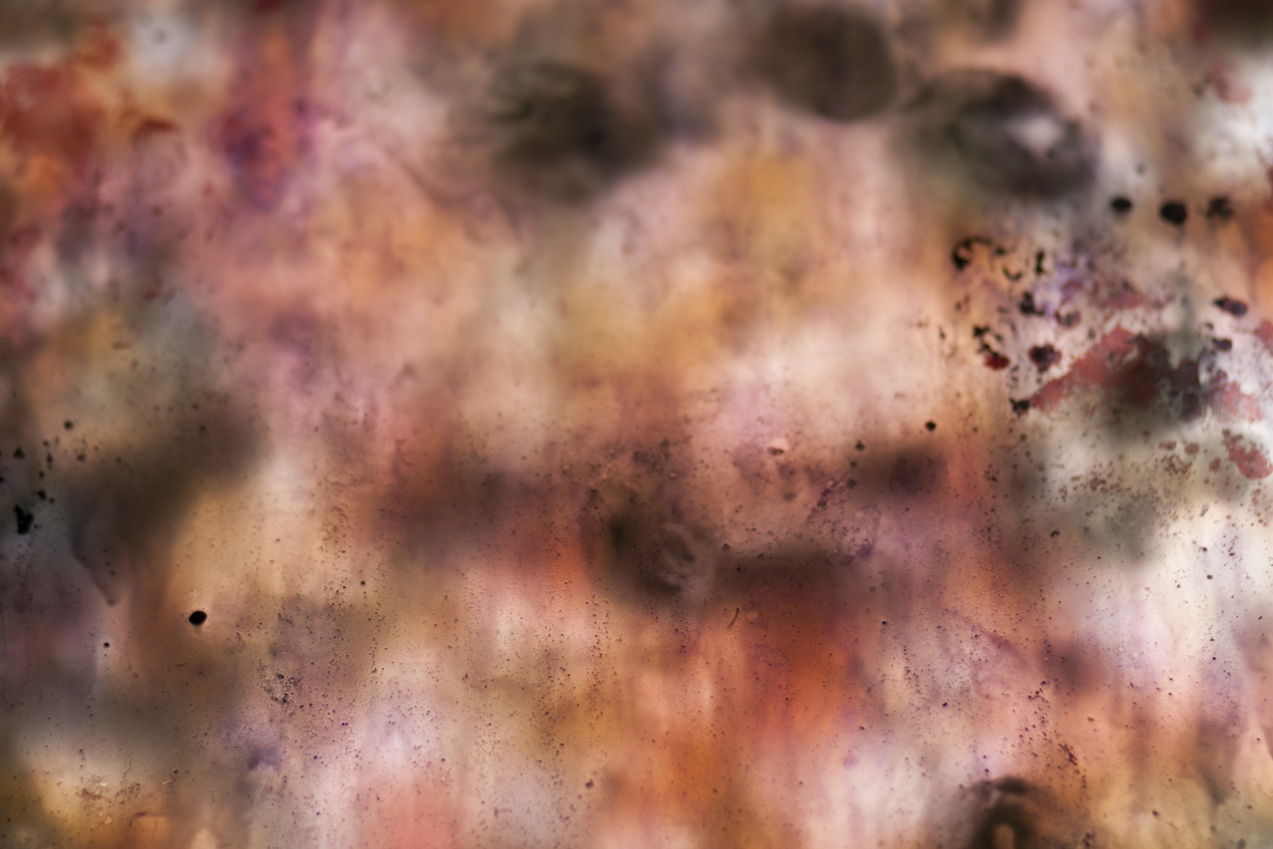 thesis detail 5.jpg