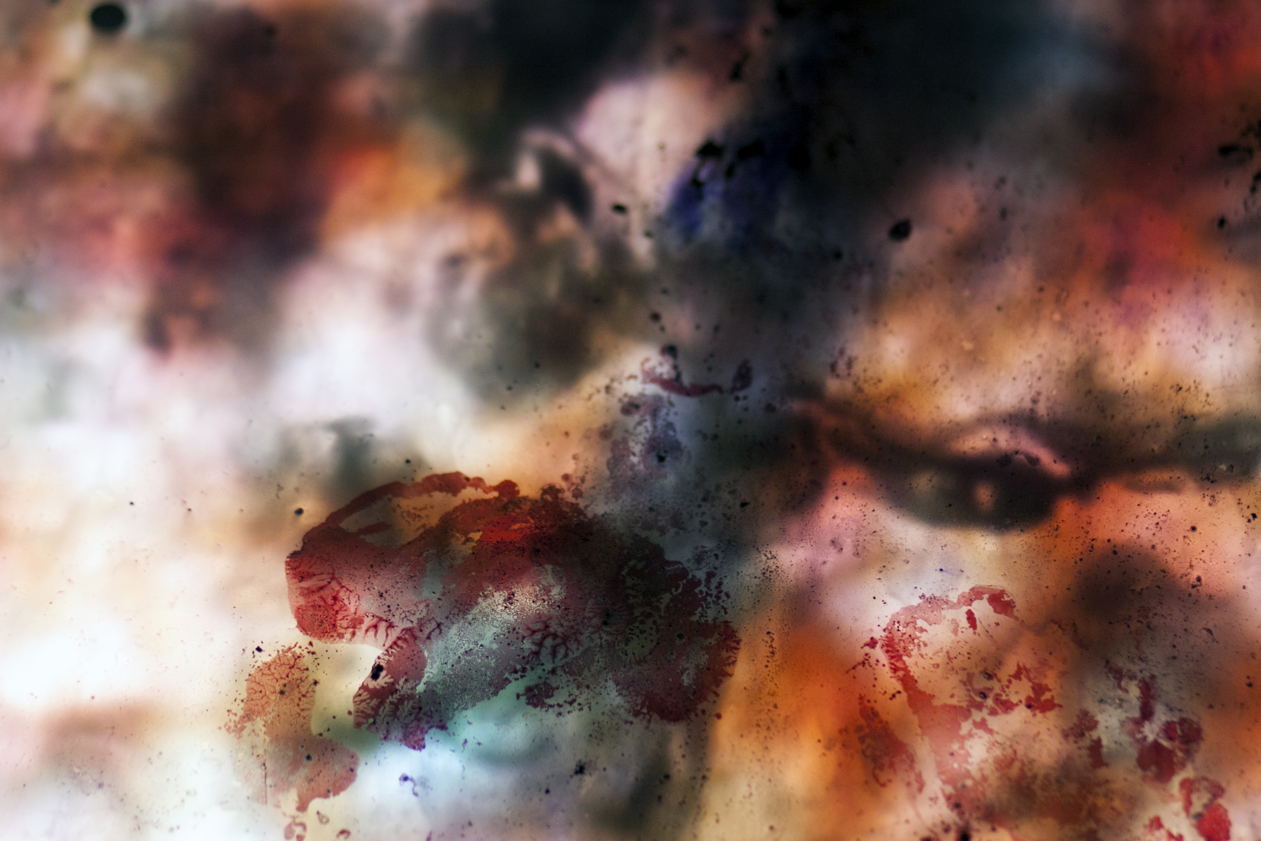 thesis detail 4.jpg