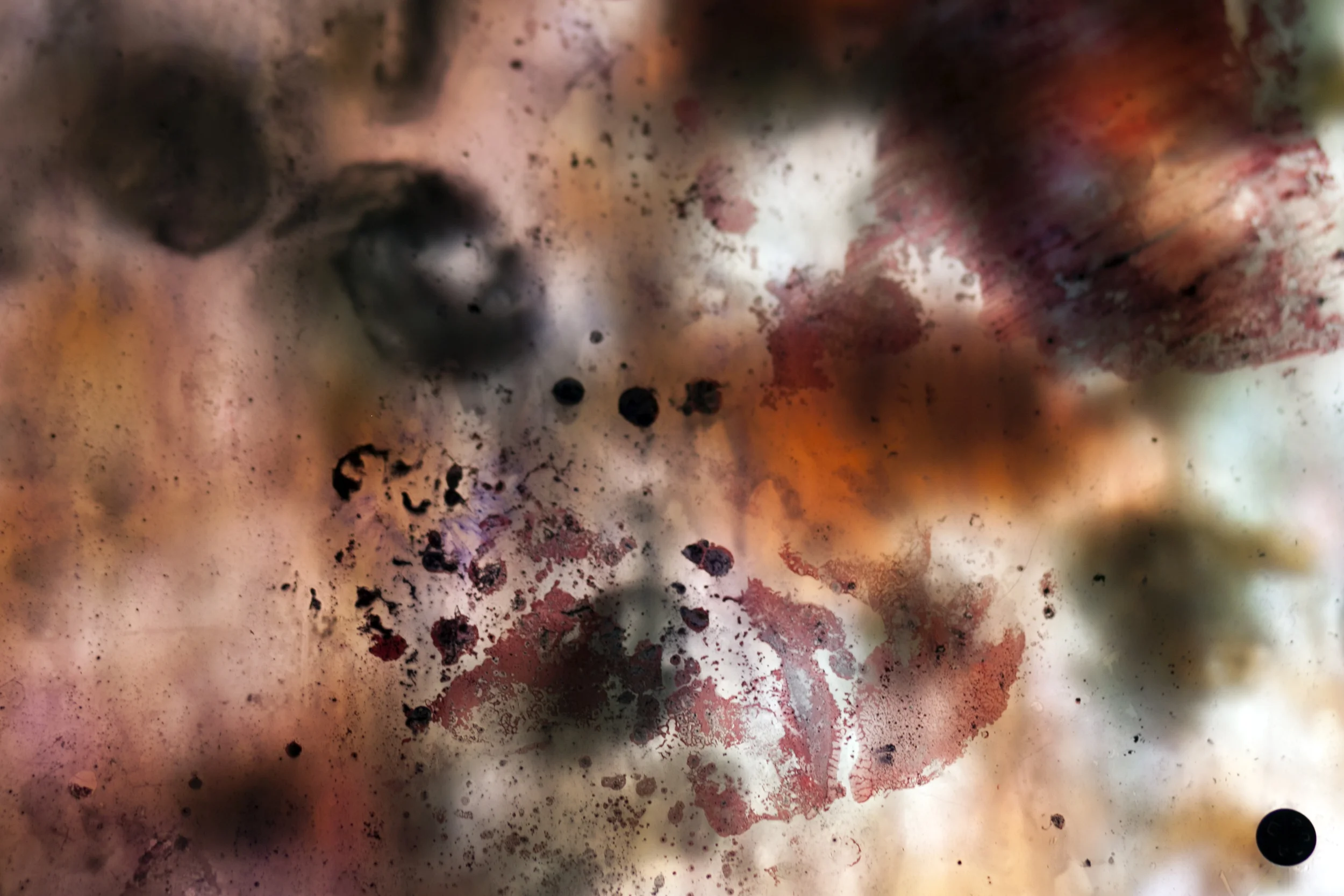 thesis detail 8.jpg