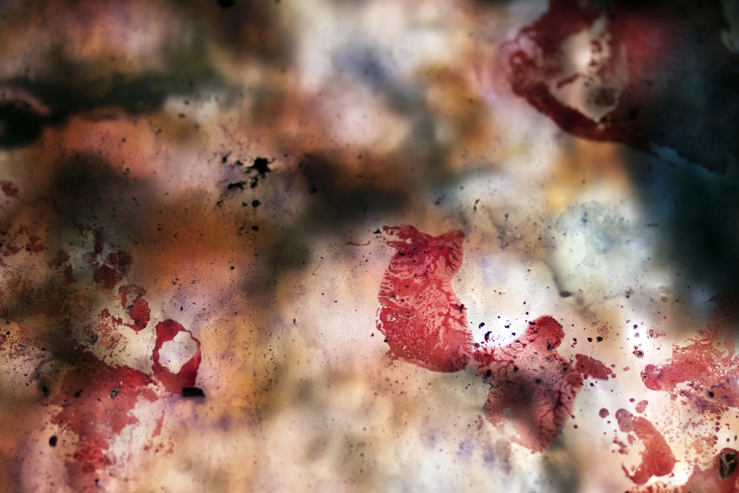 thesis detail 11.jpg