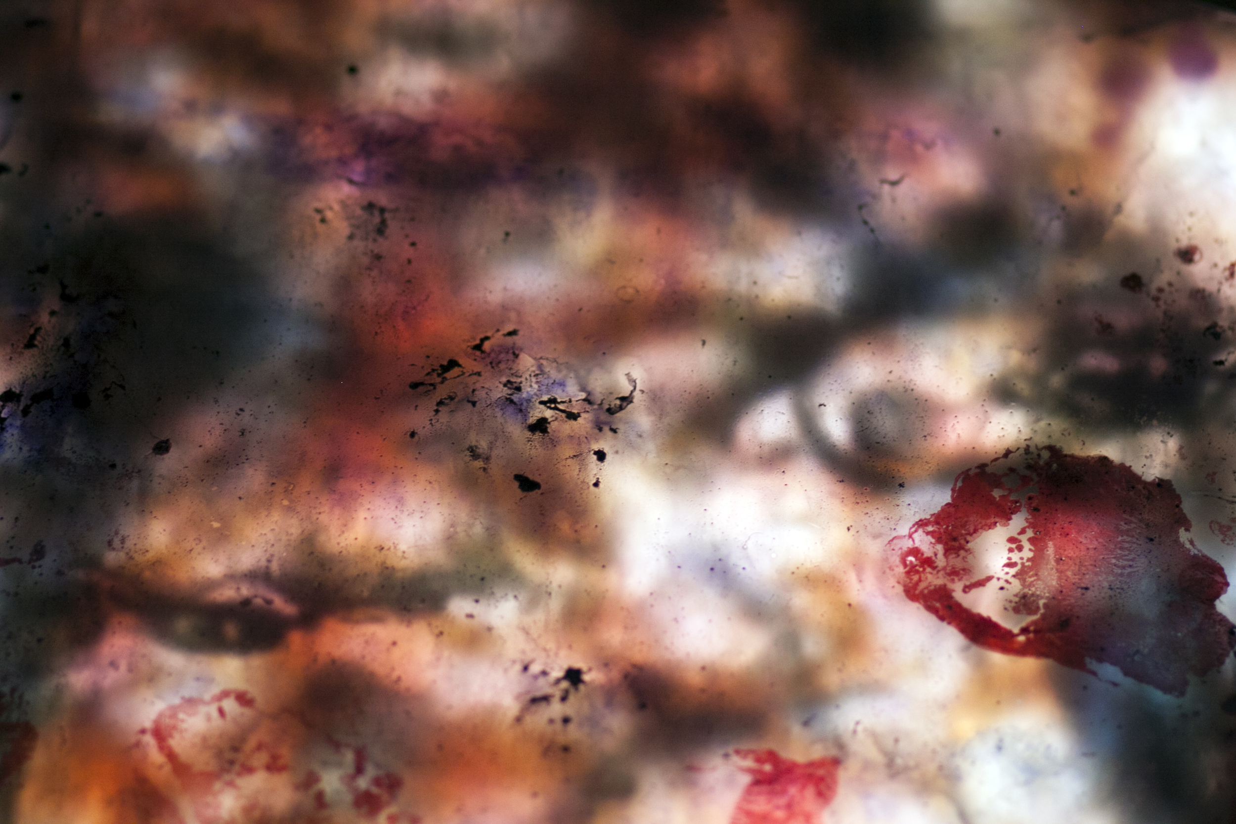 thesis detail 12.jpg
