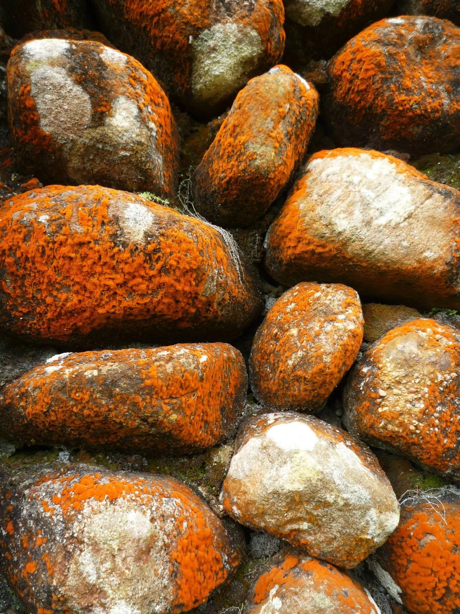 Bokor Mountain: Photo Detail