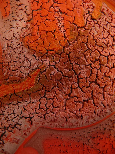 Detail from Red Sumos (2010)