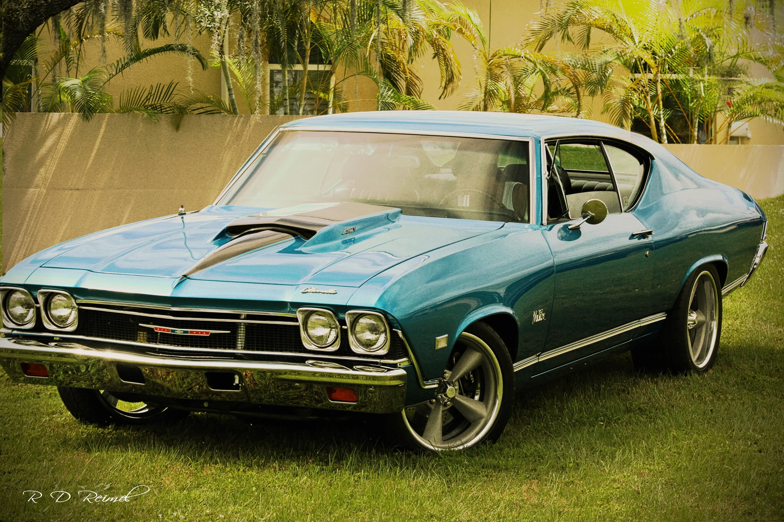 Chevelle 1.jpg