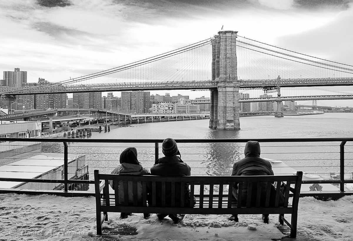 New-York-Photography-1.jpg