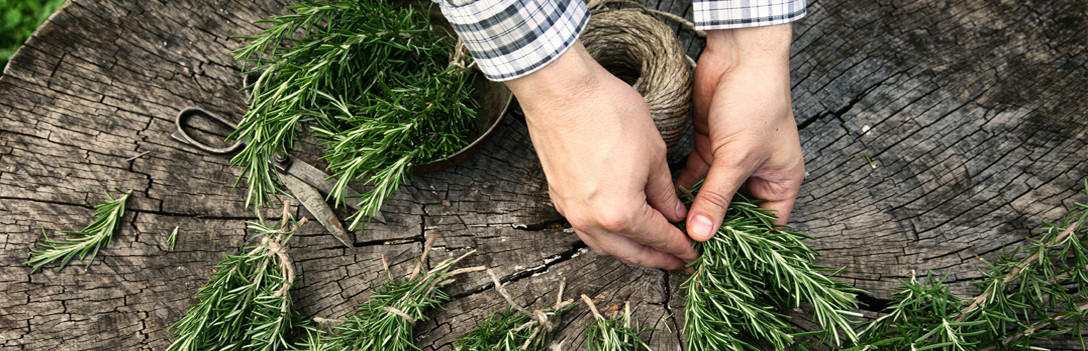 Spring Ancestral (Primitive) Skills Class
