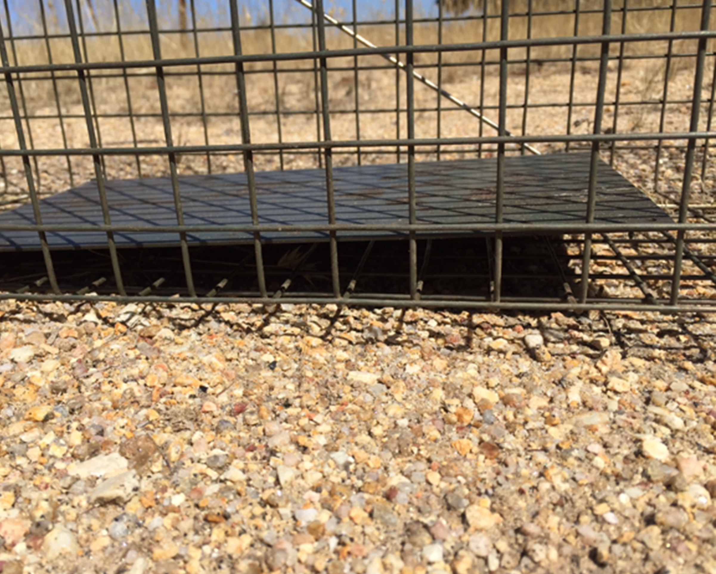 TREADLE PLATE IS LONG AND SITS LOW