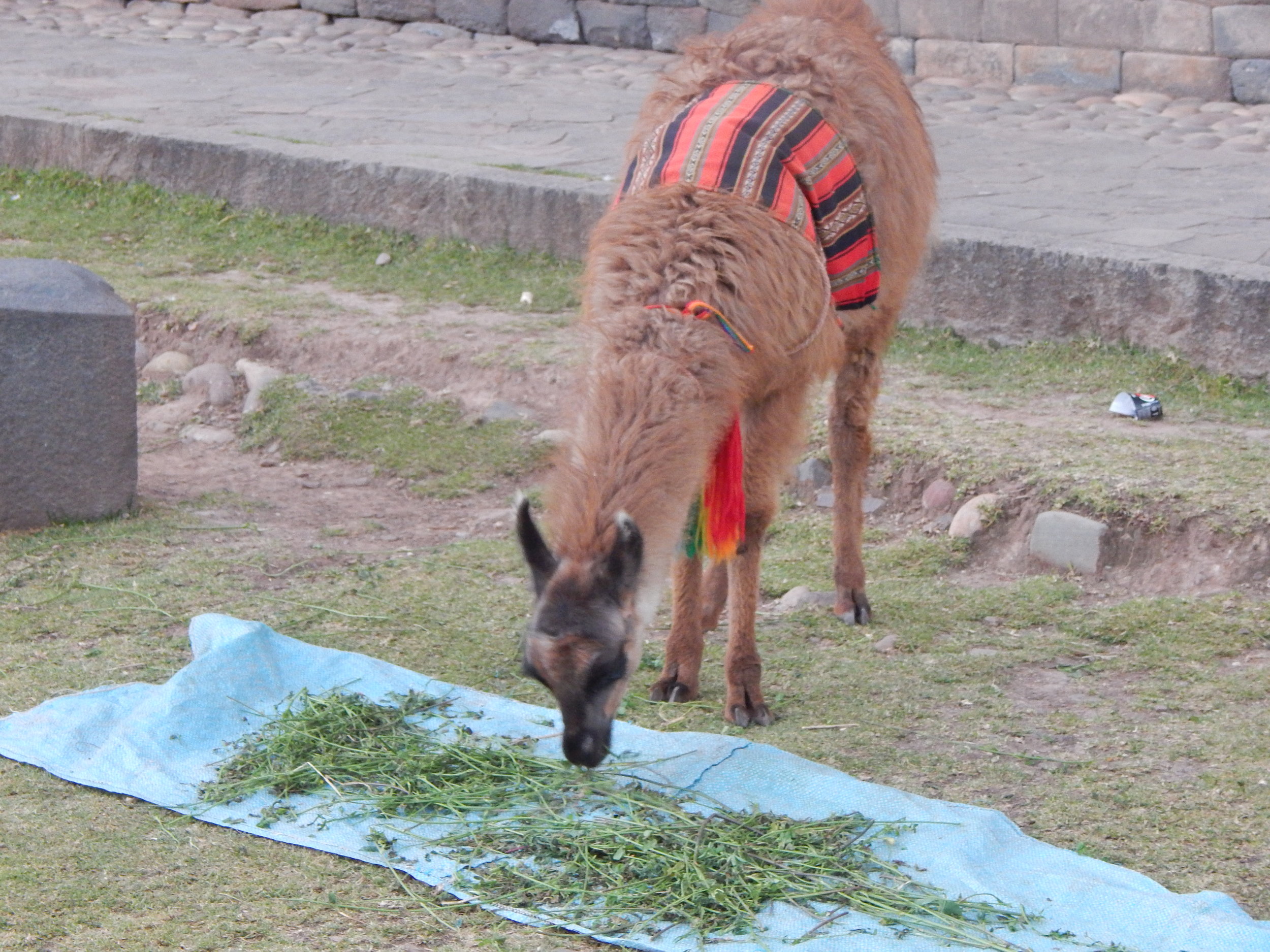 DSCN2846.JPG