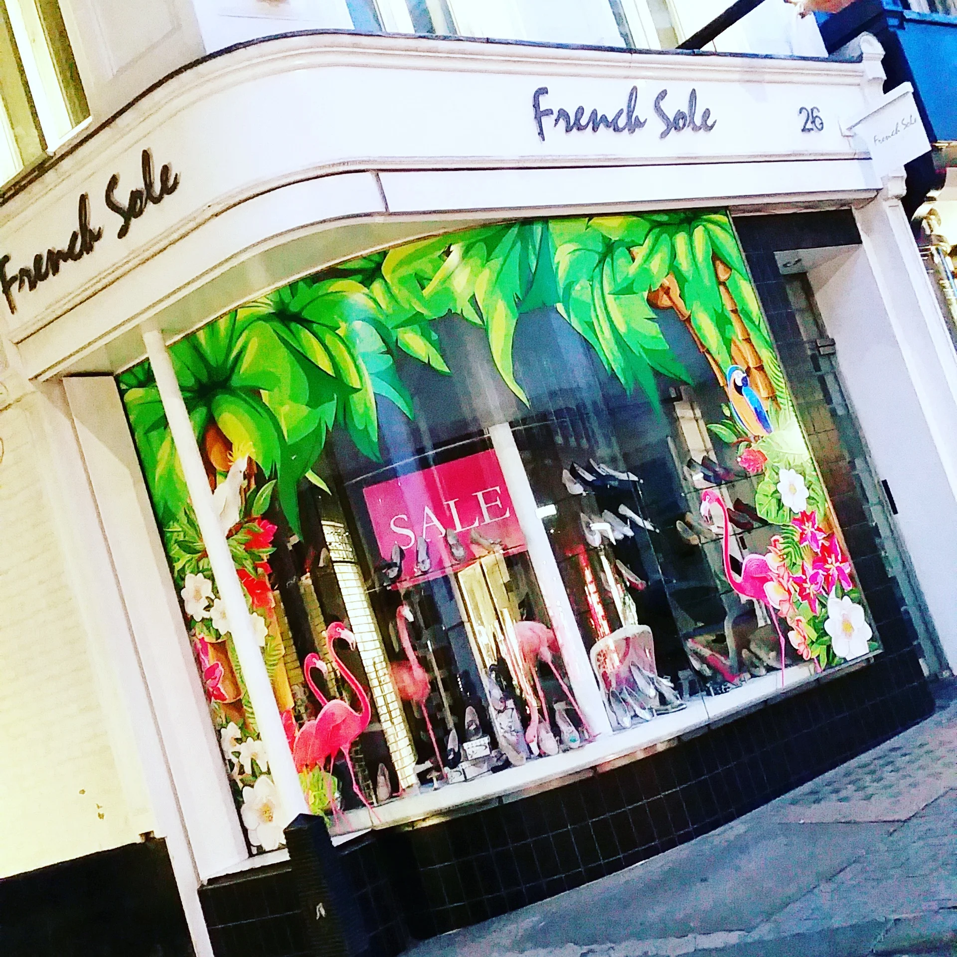 French Sole - Promotional Window Display for the Chelsea Flower Show