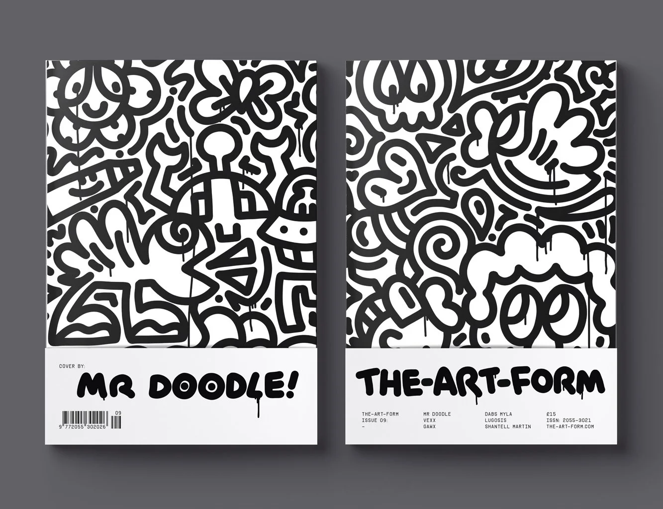 Mr Doodle cover 1.jpg