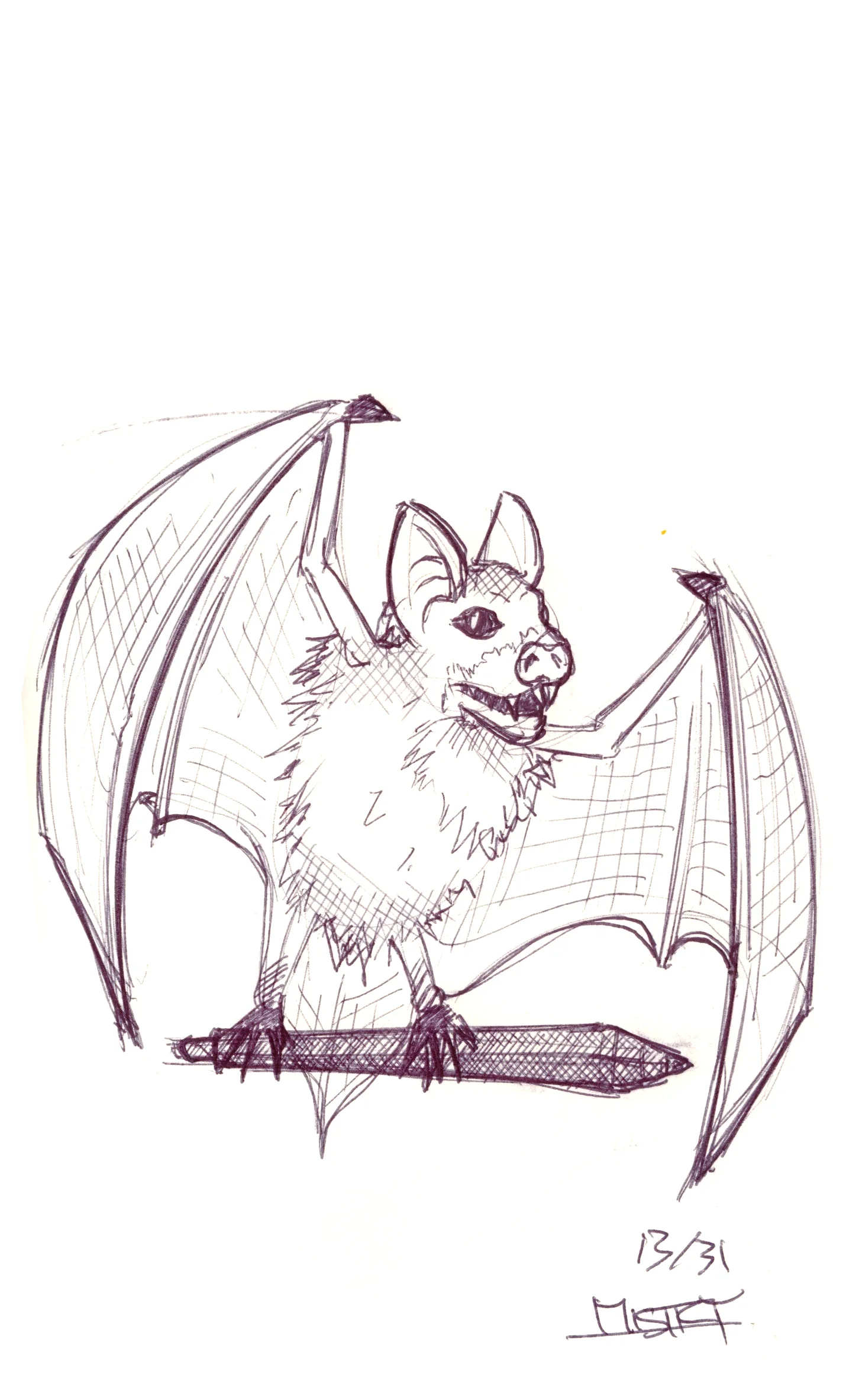 bat1.jpg