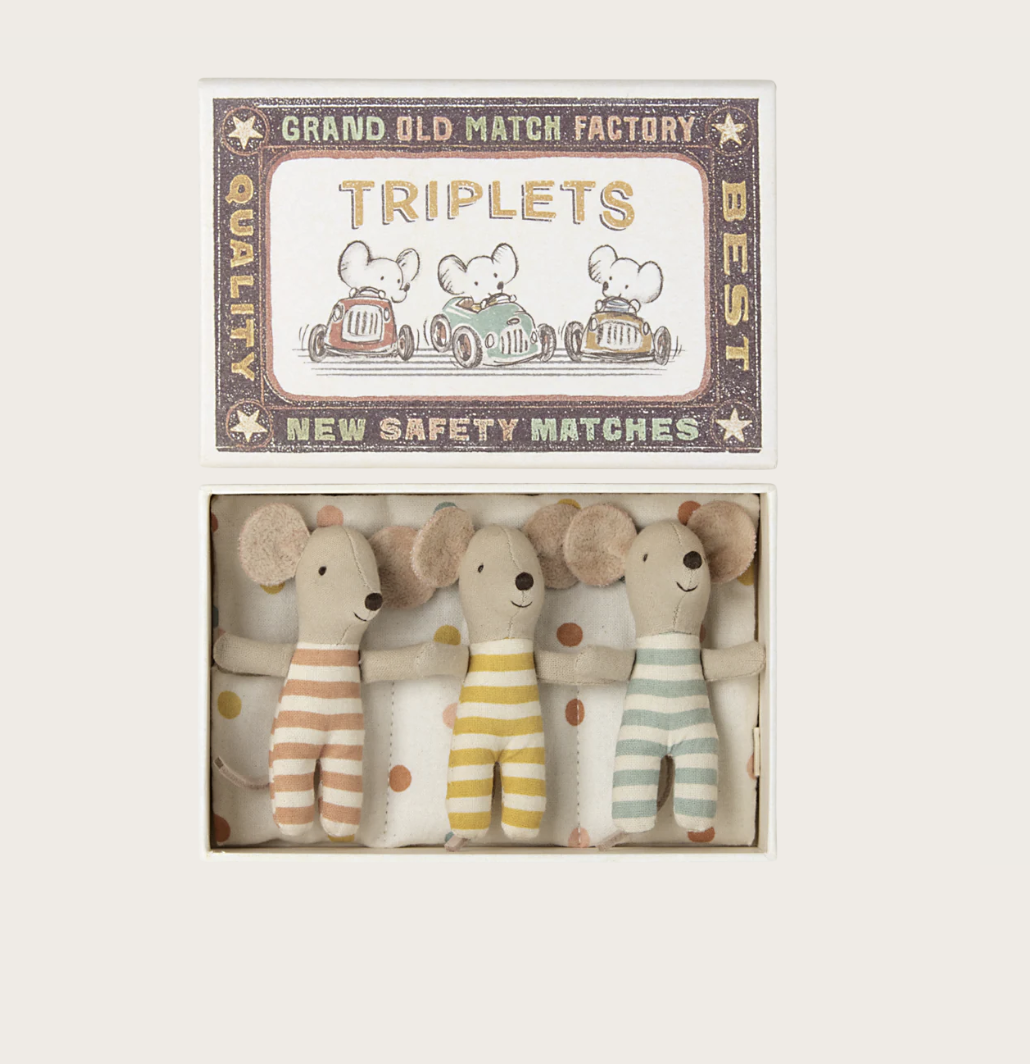 TRIPLETS, BABY MICE IN MATCHBOX