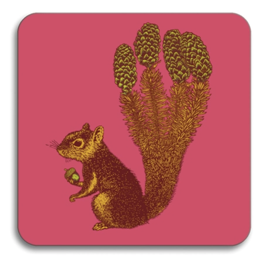 SQUIRREL  LUNCHEON PLACEMAT