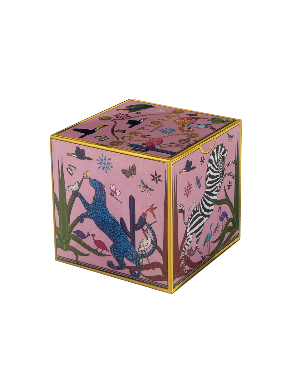 tazzina_pink_box_2728_web.webp