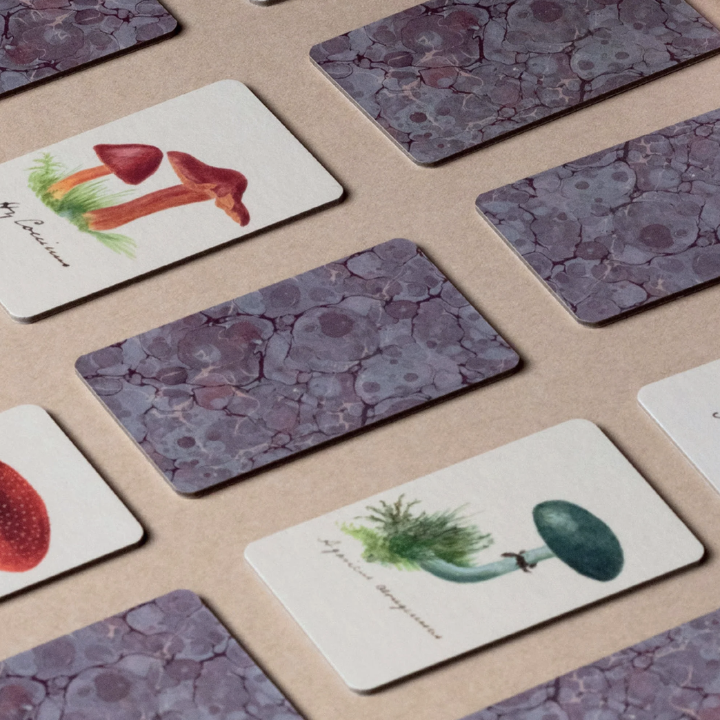 Screen Shot 2024-10-18 at 16.08.06.png