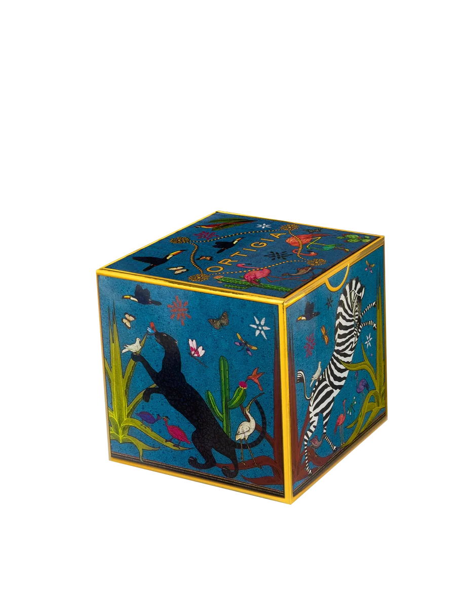 tazzina_blue_box_2726_web.webp