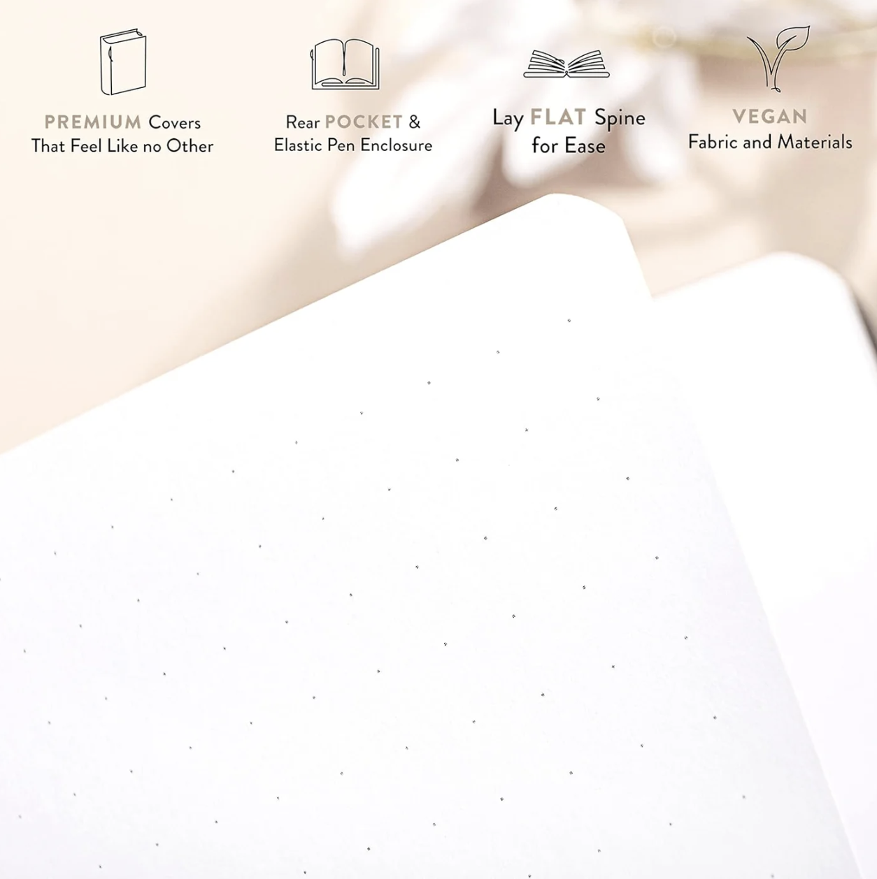 Screenshot 2025-10-10 at 12.06.41.png