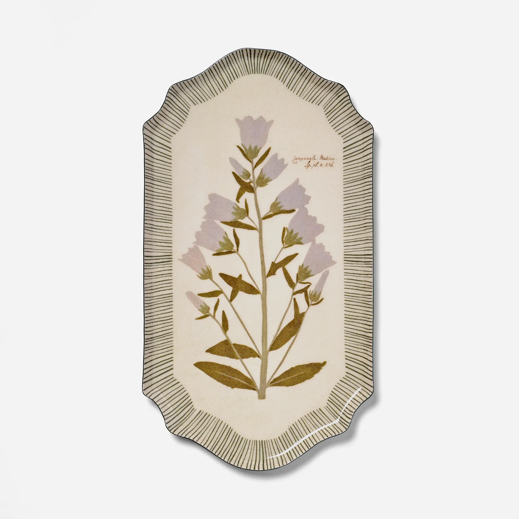 HOM3042_Scallop_Rectangle_Enamel_Tray_Herbarium_1728x.webp