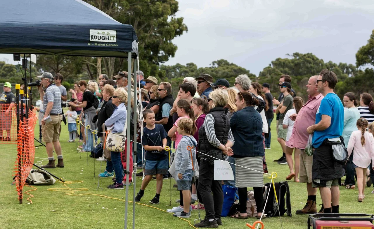 Bass Coast flyball23.jpg