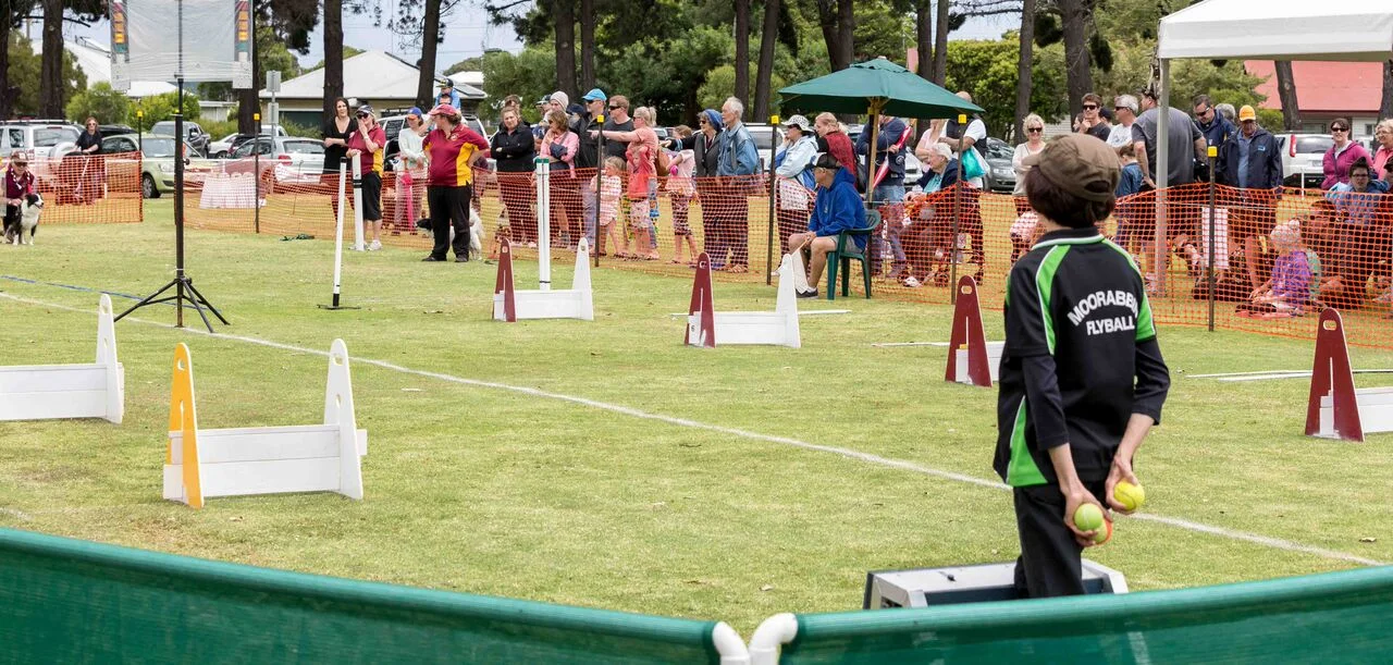 Bass Coast flyball24.jpg