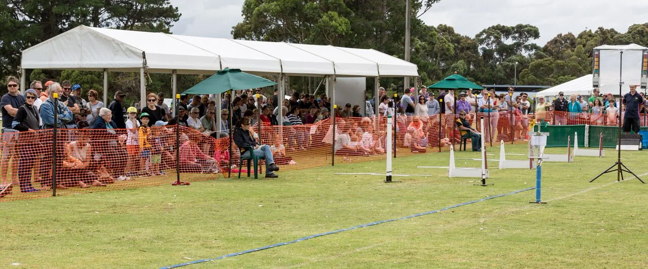 Bass Coast flyball29.jpg