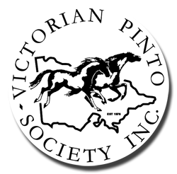 Vic Pintos.png