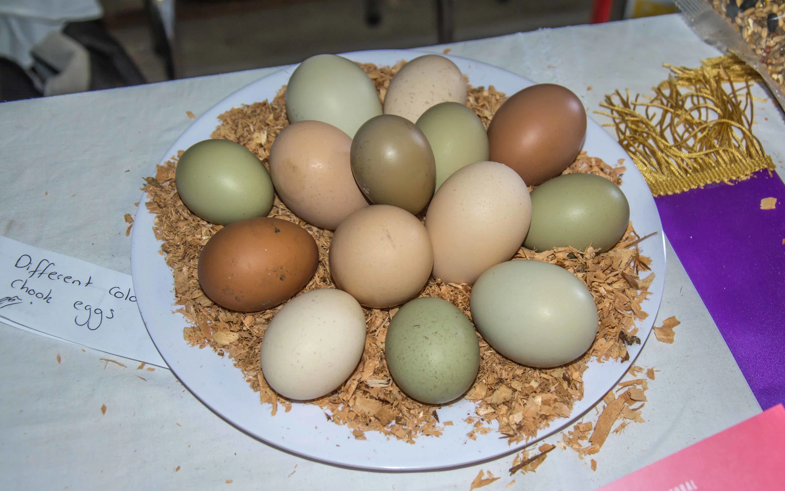 Many different coloured eggs on display