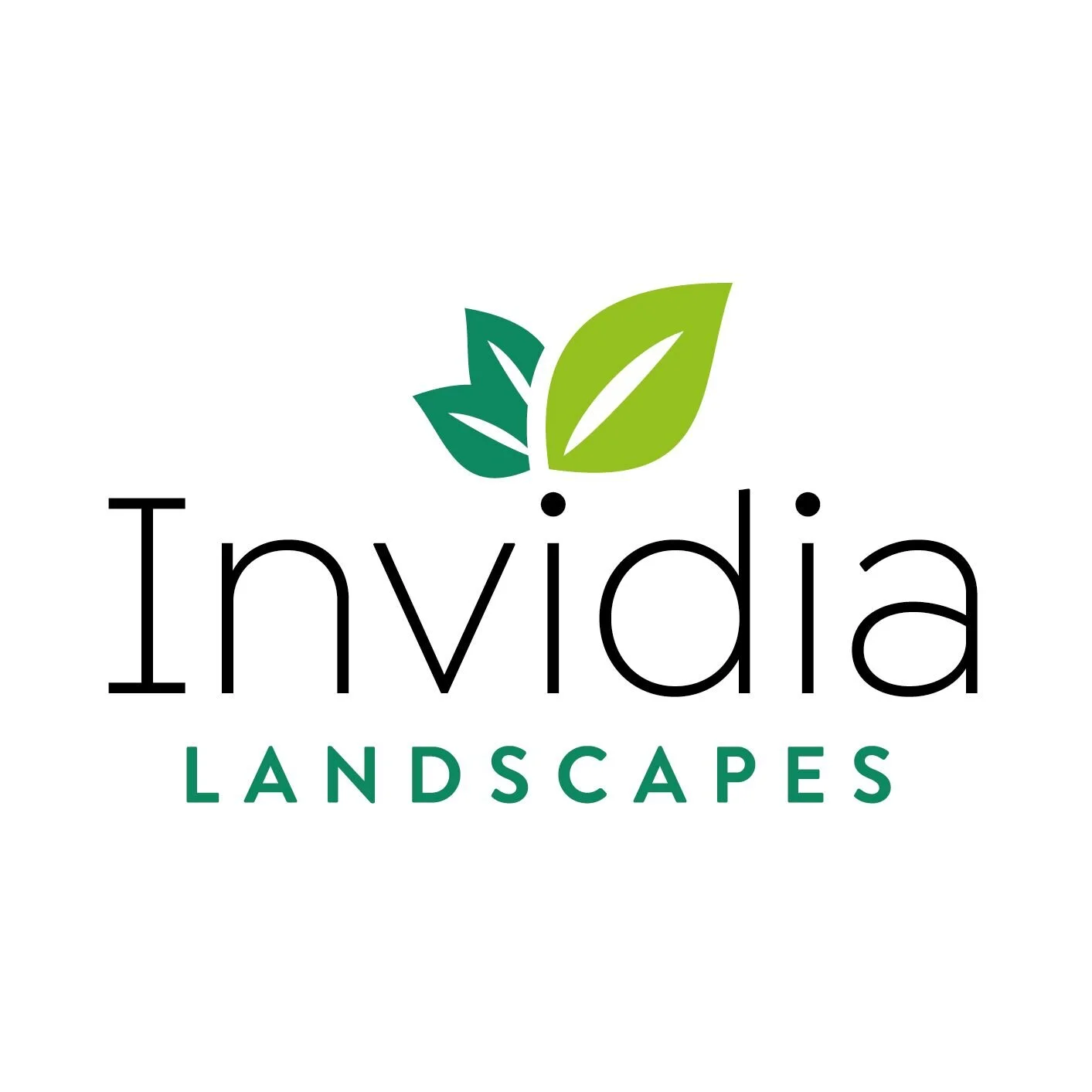 Invidia landscapes.jpg