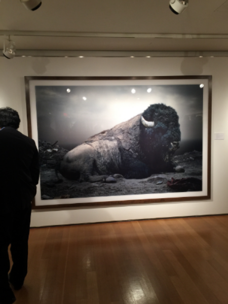 Christies's Photography Auction | Simen Johan | Until the Kingdom Comes