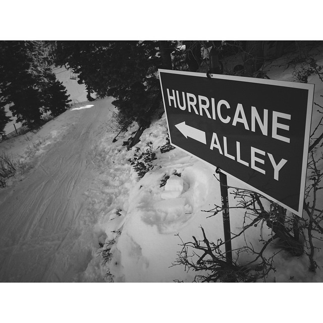 Photo: Dylan Ferguson