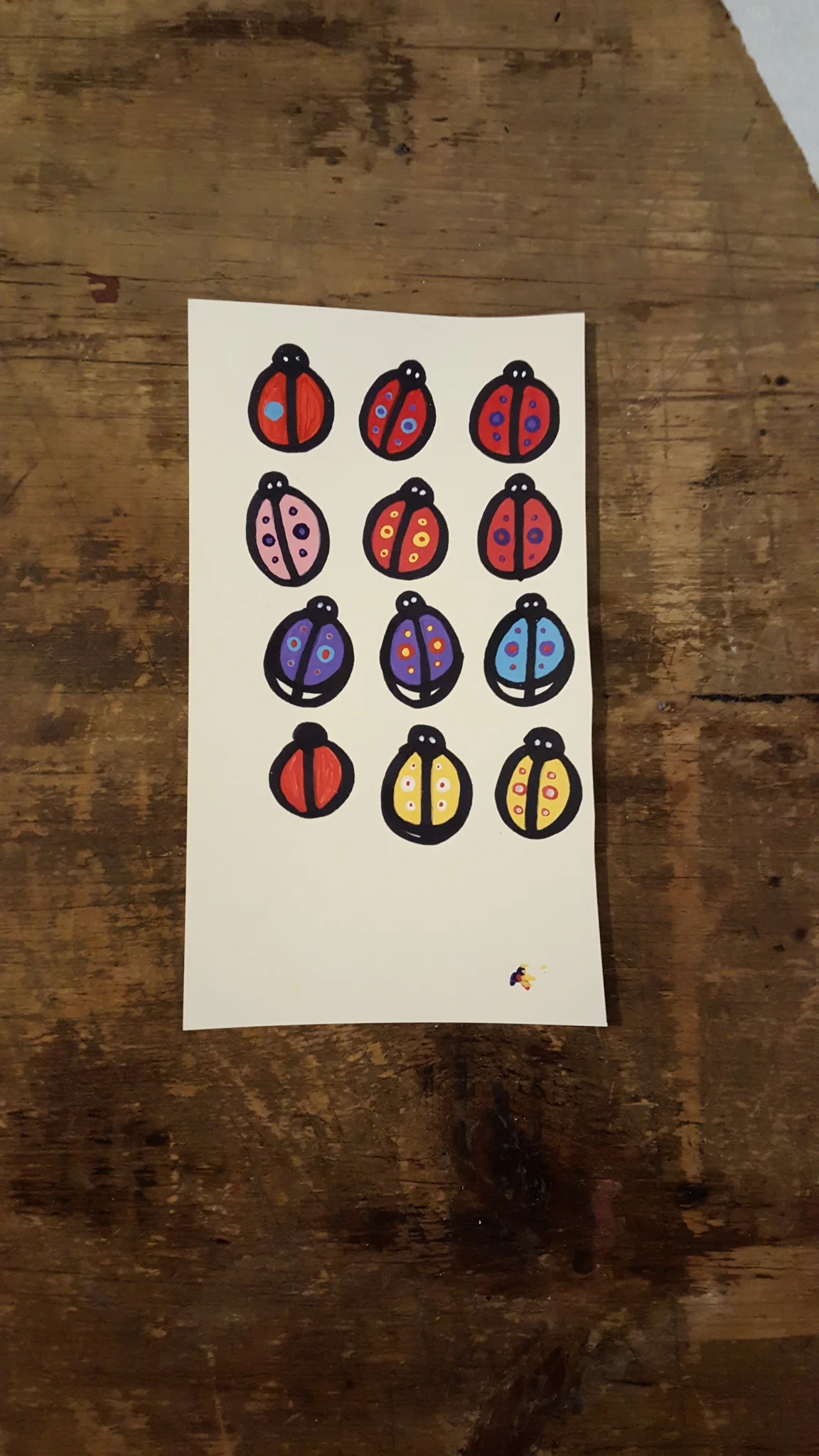 Lots-o-ladybugs
