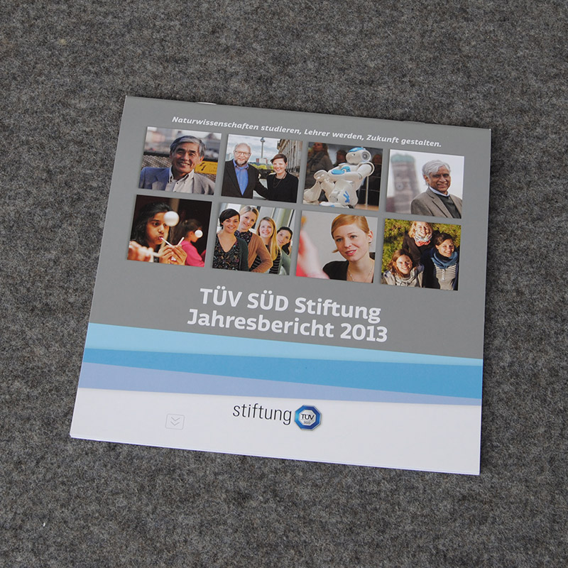 Stiftungsbericht 2013