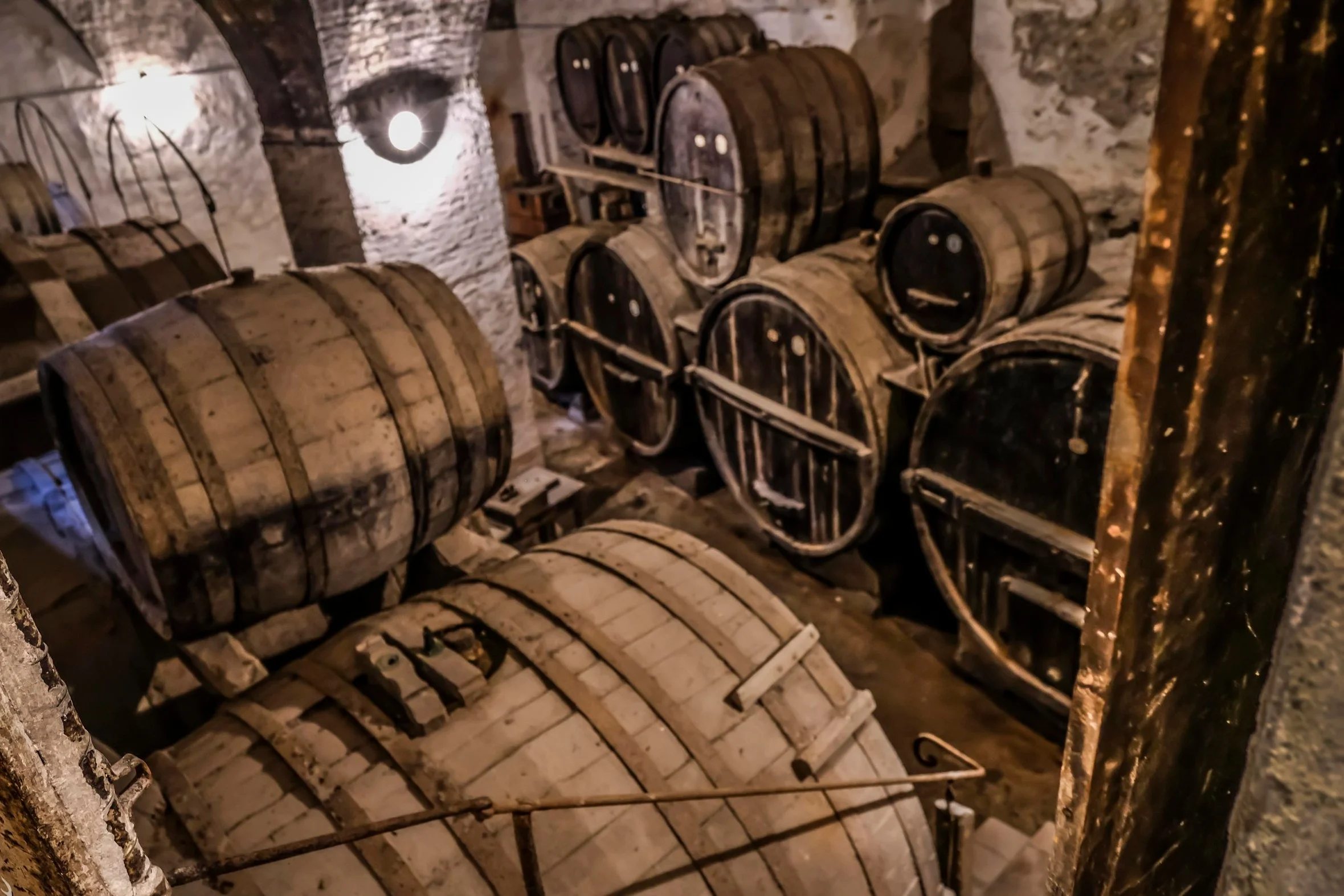 20180411_065927_81A55635Fujifilm_X-H1_XF16-55mmF2.8+R+LM+WR_24+mm___02833DFW+Italy+Group+Trip+Color+-+12MB_Web0277.jpg