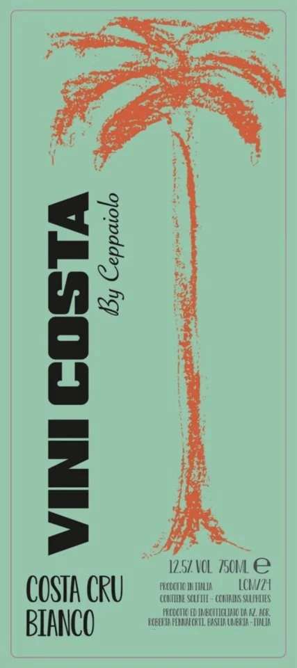 Costa Cru Bianco (2024)