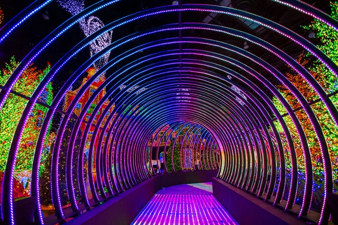 universal-journey-rainbow-connection.jpg