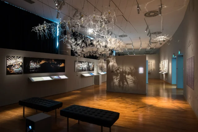 "MAPPING MACROCOSMS"