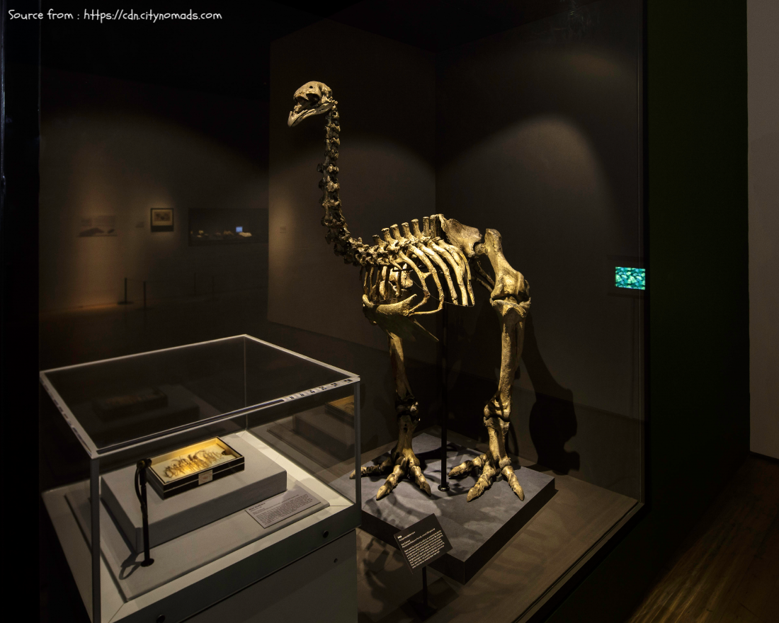 treasure-of-the-natural-world-artscience-museum-singapore-cover.png