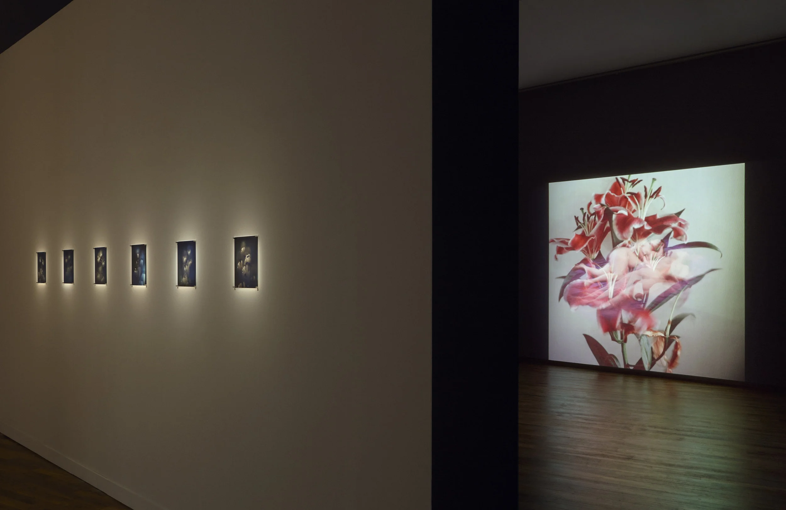 IN PRAISE OF SHADOWS