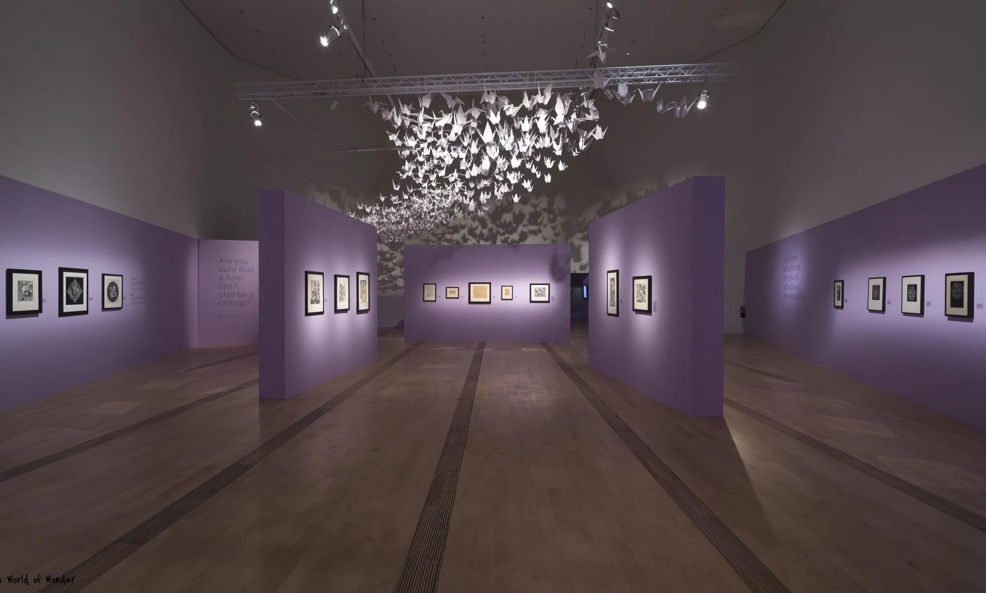   Journey to Infinity: Escher’s World of Wonder  