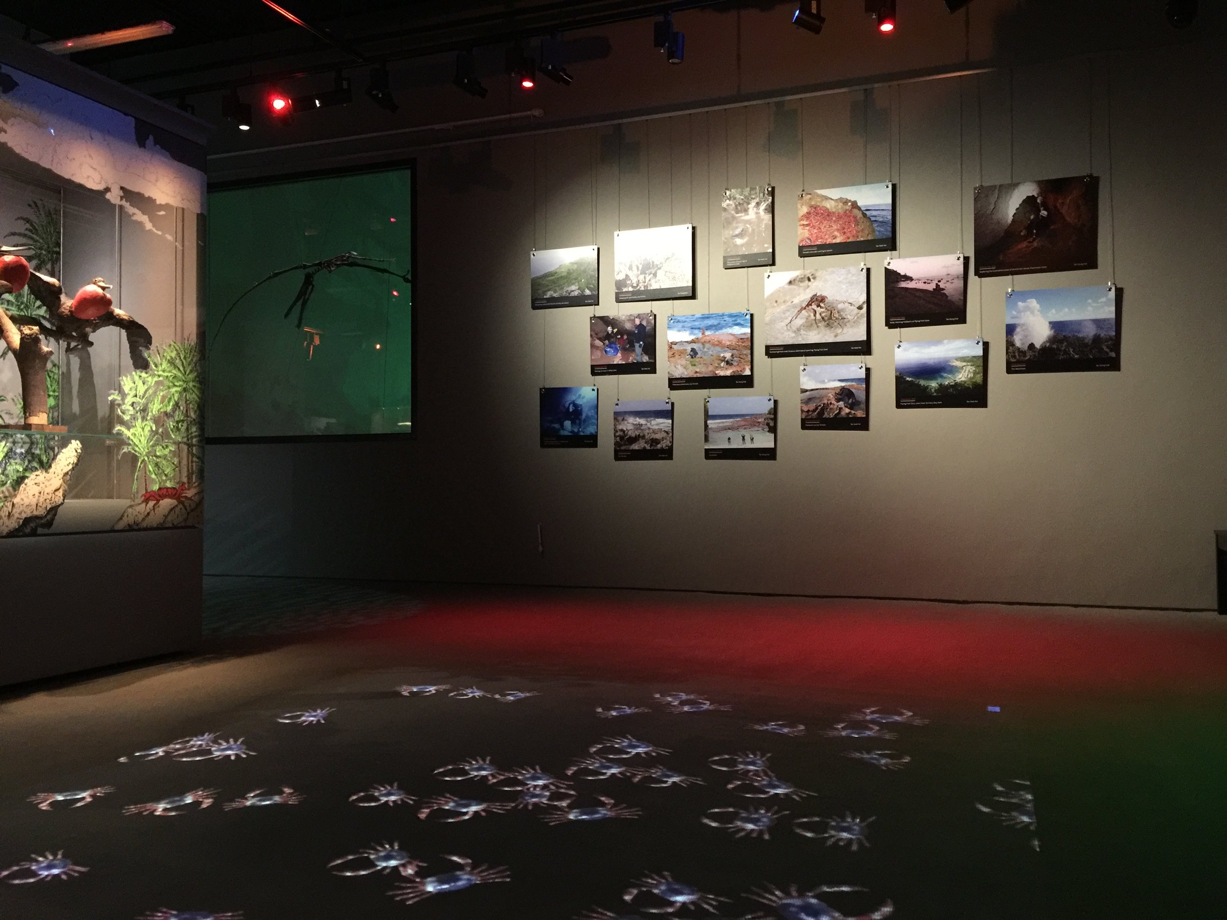 Christmas Island RED