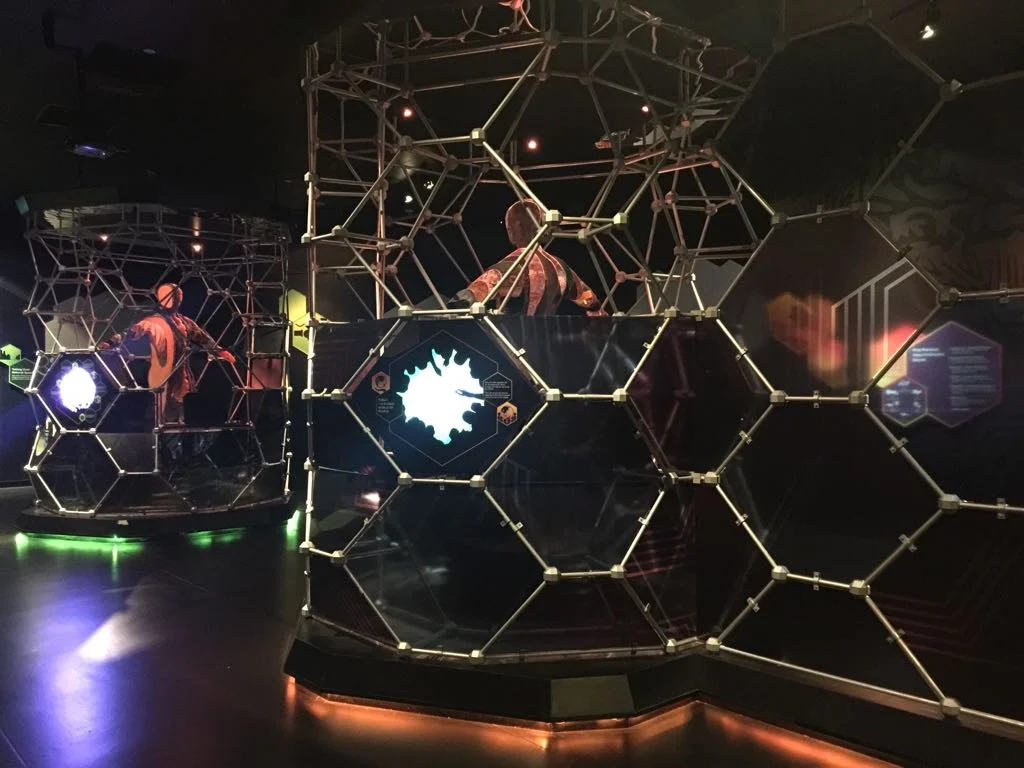 WhatsApp Image 2018-03-24 at 6.15.29 PM.jpeg