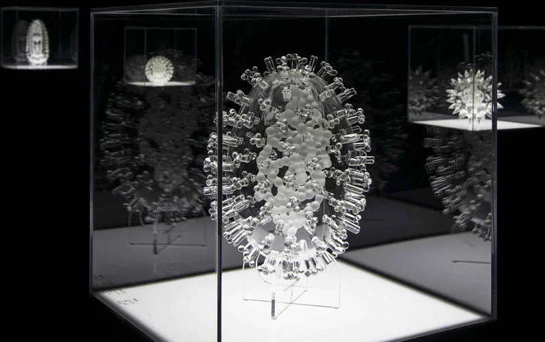 Corona_virus_jerram.jpg